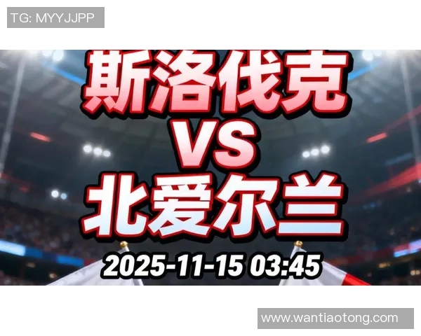 北爱尔兰与斯洛伐克比赛数据分析与统计报告详解